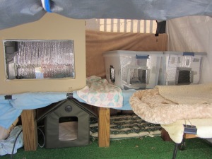 Inside shelter