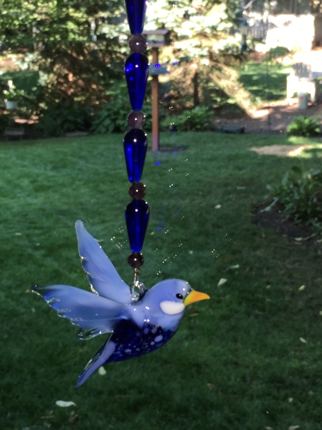 bluebird gift2