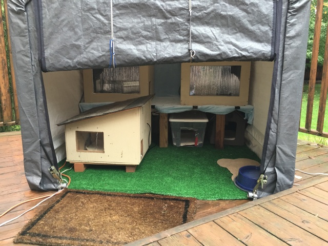 Insulated Cat Houses Archives  Heated outdoor cat house, Outside cat  house, Outdoor cat house